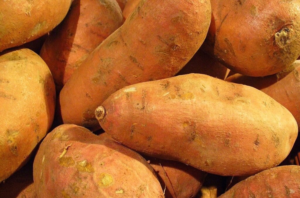 sweet potatoes (5)