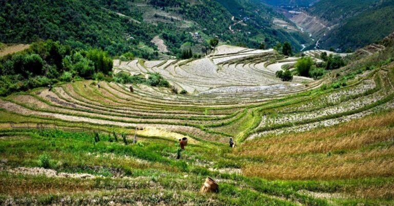 bhutan (2)