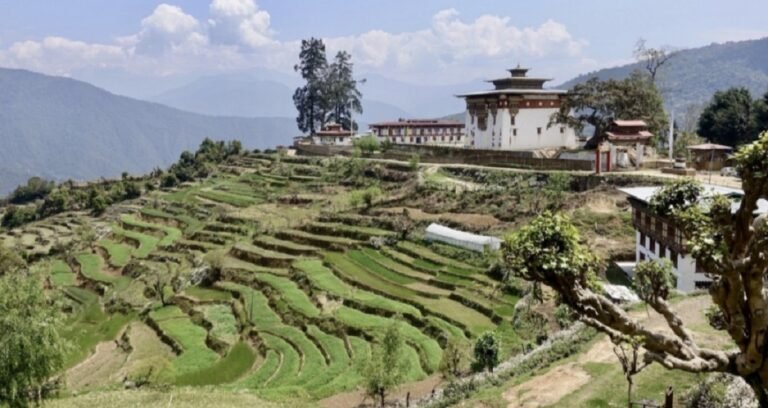 bhutna (1)