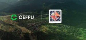 Screenshot 2026-02-11 164334