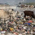 image - 2026-04-10T155330.630