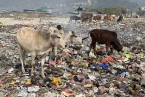 image - 2026-04-10T155330.630