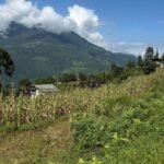 Severe Water Scarcity Triggers Crisis for Bhutanese Farmers Racing to Save Paddy Sowing Season