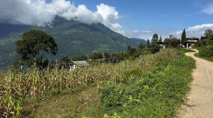 Severe Water Scarcity Triggers Crisis for Bhutanese Farmers Racing to Save Paddy Sowing Season