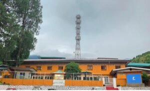 Bhutan Telecom Employee Challenges Mandatory Retirement Over Alleged Misconduct