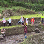Shrinking Agricultural Land Threatens Bhutan’s Food Self-Reliance Goals
