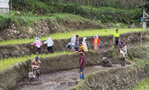 Shrinking Agricultural Land Threatens Bhutan’s Food Self-Reliance Goals