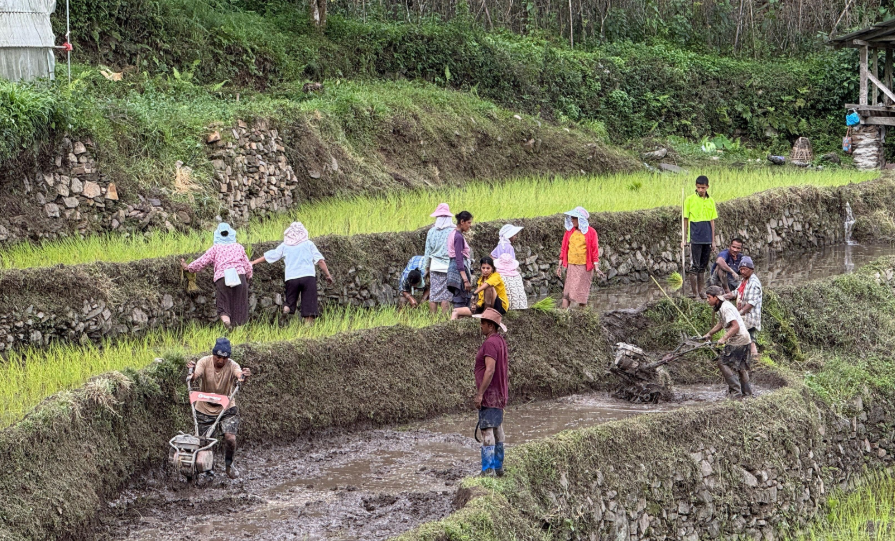 Shrinking Agricultural Land Threatens Bhutan’s Food Self-Reliance Goals