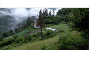 Homes in Paro, census in Haa: Three Bachakha households face service gaps
