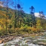 Bhutan Named Finalist for 2026 Earthshot Prize