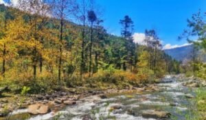 Bhutan Named Finalist for 2026 Earthshot Prize