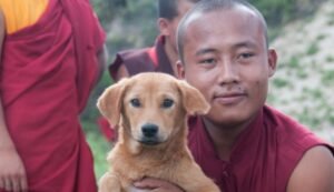 Bhutan First in WHO South-East Asia Region to Eliminate Dog-Mediated Rabies