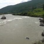 image (5)