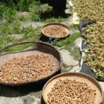 image (9)