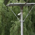 CCTV surveillance curbs littering in Thimphu