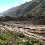 image (6)