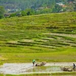 National Land Commission Launches SAFE Project to Protect Critical Chhuzhing Wetlands