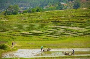 National Land Commission Launches SAFE Project to Protect Critical Chhuzhing Wetlands