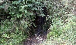 Water shortage is drying up farms and daily life in Tili